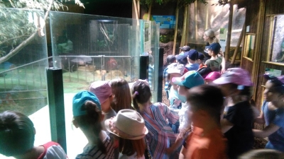 Zoo maximir (4)