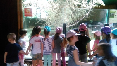 Zoo maximir (6)