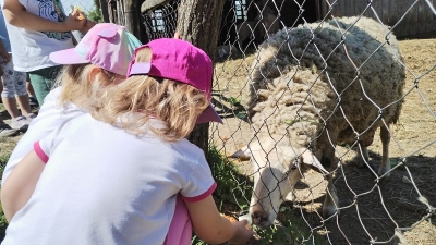 Kezele seosko imanje (8)