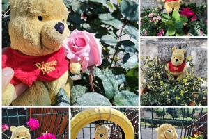 Medo VINKO upoznaje bijke Medo VINKO upoznaje bijke